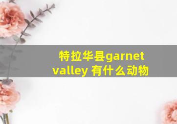 特拉华县garnet valley 有什么动物